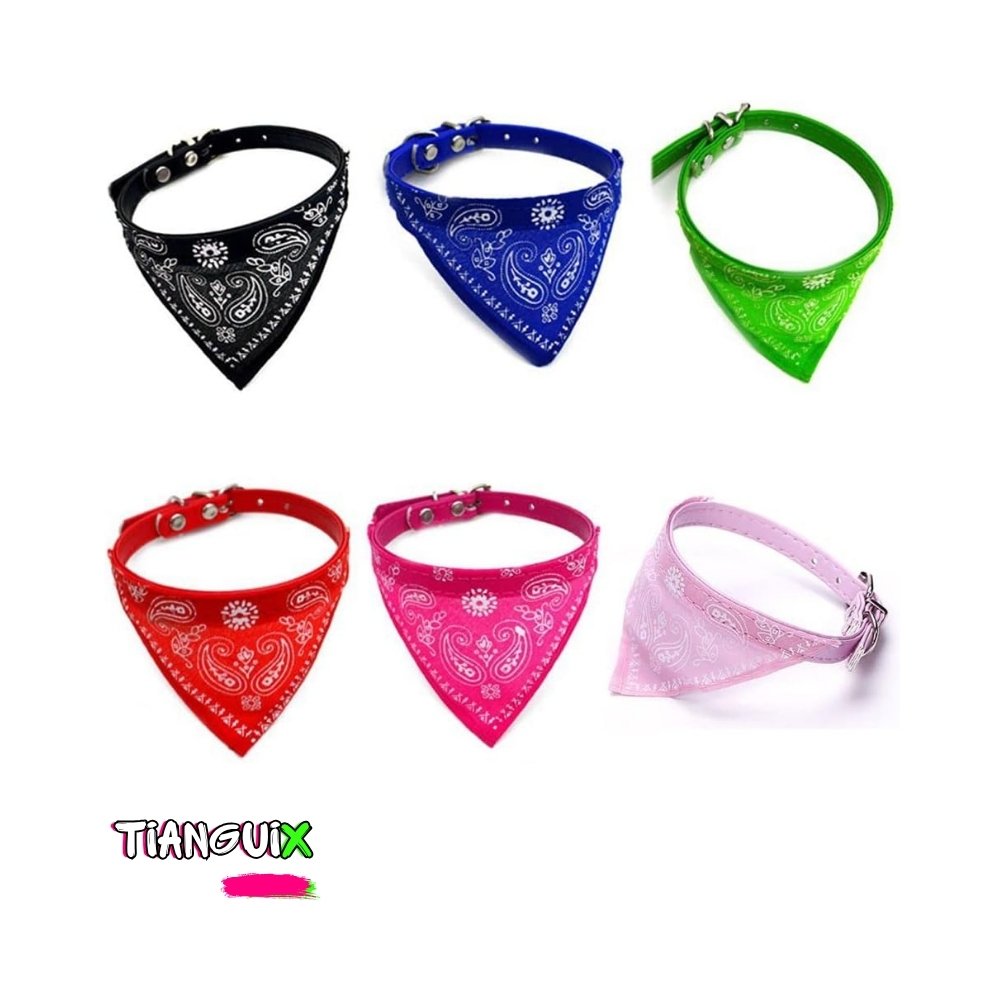 Blíster de 12 Collares Tacto-Piel con Paliacate - Imagen 5
