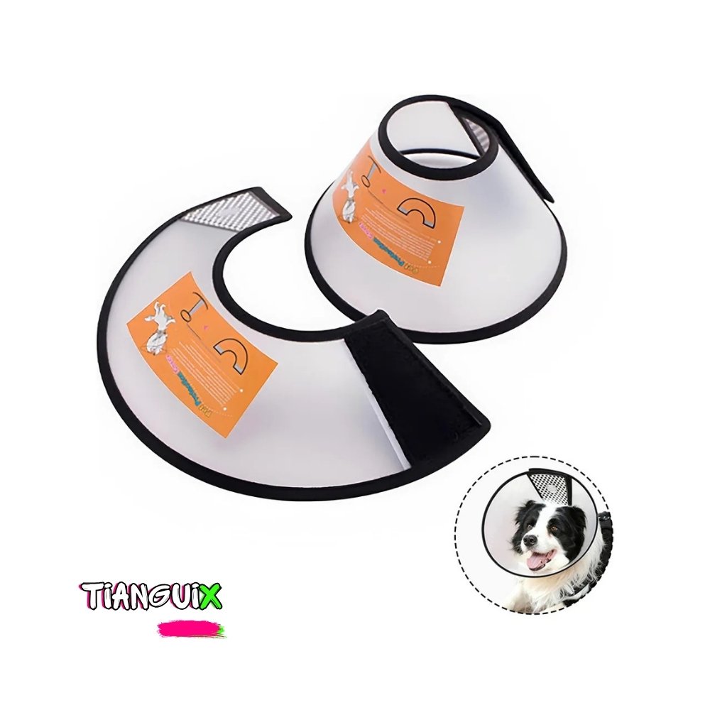 Collar Isabelino de Acetato con Velcro para Perro Chico