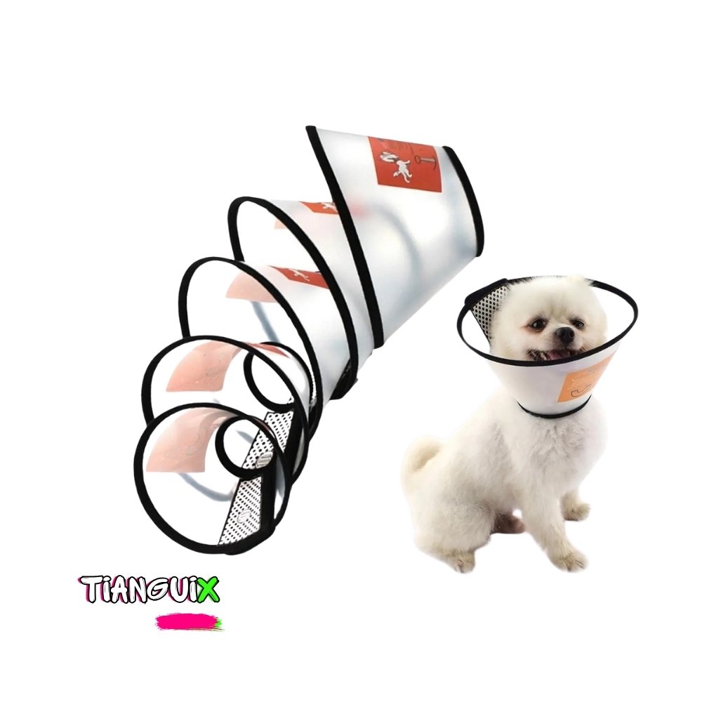 Collar Isabelino de Acetato con Velcro para Perro Chico - Imagen 3