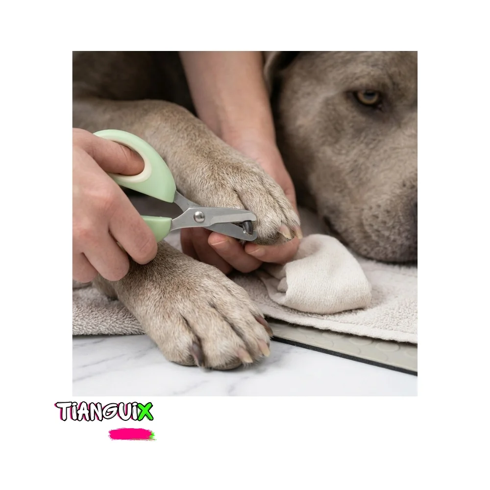 Corta Uñas Tipo Tijera para Mascota - Imagen 2